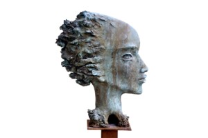 Doble Perfil Doble Perfil