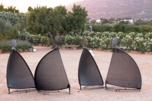 Vigías en Naturavila Vigías en Naturavila