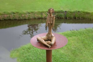 Nenúfar 3 Nenúfar 3