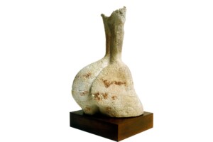 Torso (Espalda) Torso (Espalda)