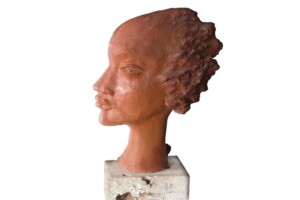 Doble Perfil Doble Perfil