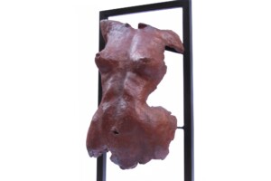Torso Torso