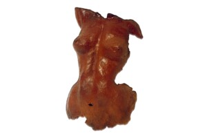 Torso Torso