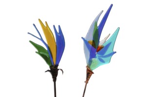 Dos Flores Planas Dos Flores Planas