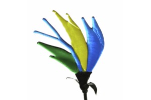 Flor Plana Flor Plana