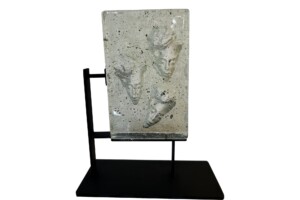 Composición en Vidrio Composición en Vidrio