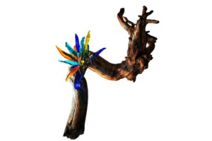 Composición Vidrio y madera