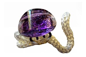 Anillo